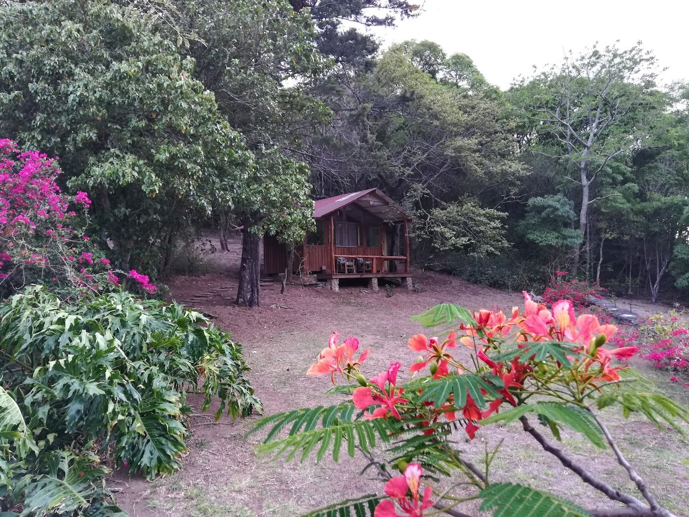 Bunkhouse among tropical flowers