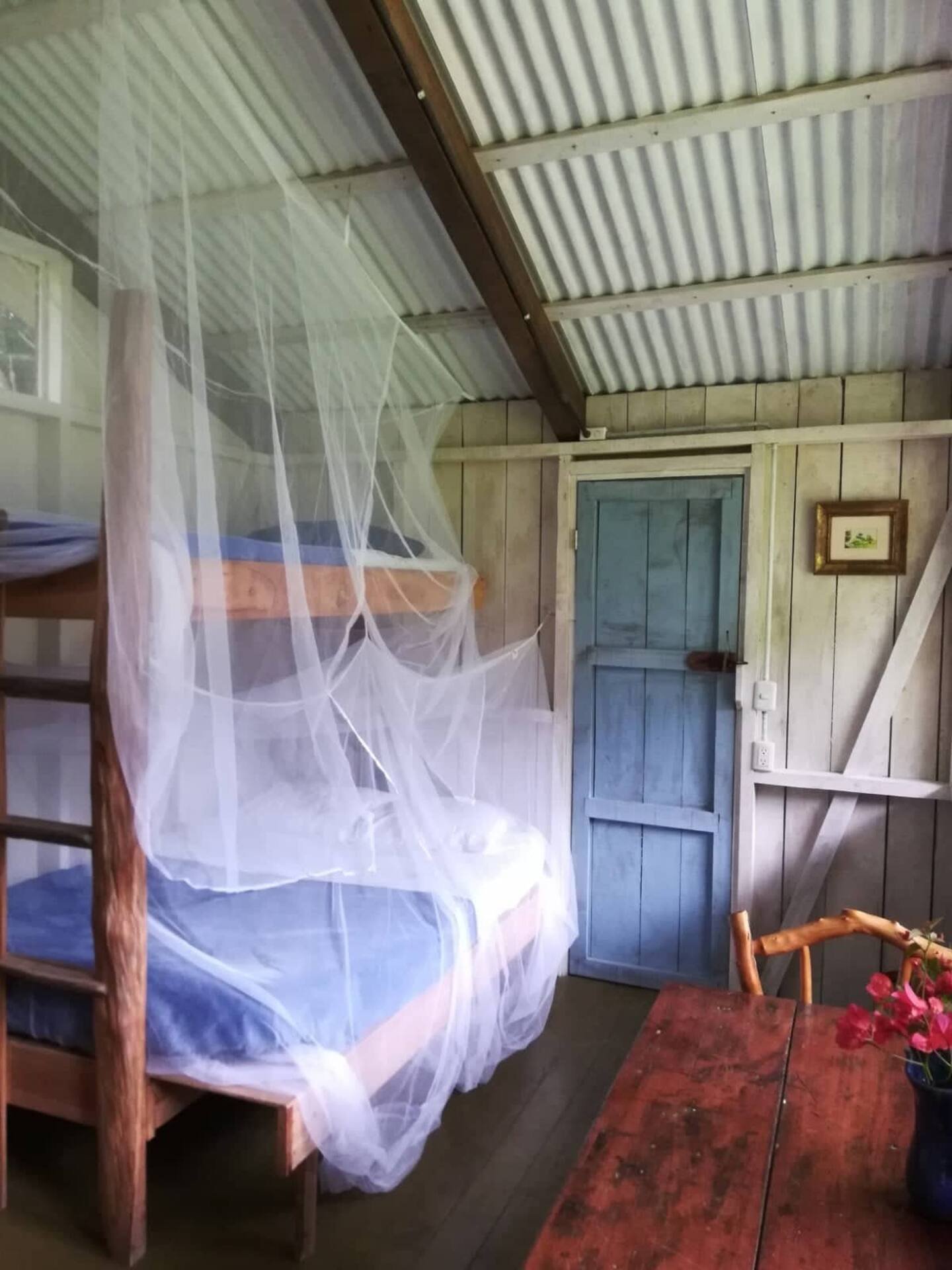 Bunk beds with mosquito netting