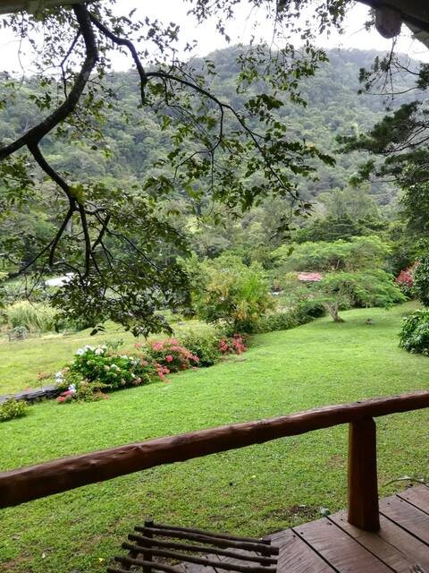 View from porch — lush valley