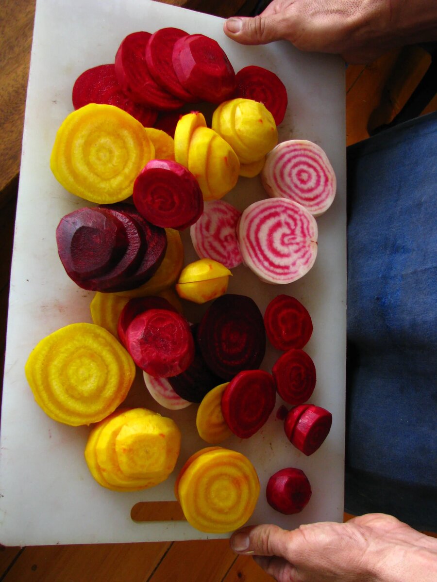 Colorful beets from garden